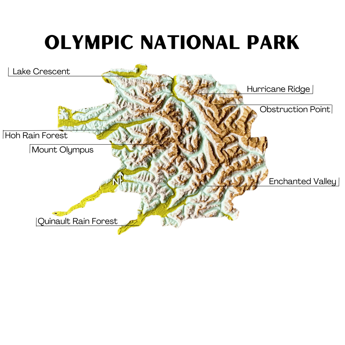 Olympic National Park 3D Topography Map Magnet