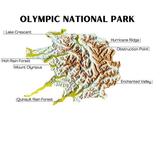 Olympic National Park 3D Topography Map Magnet
