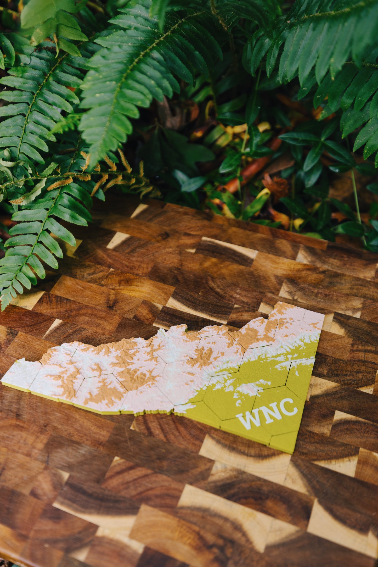 Western North Carolina Magnetic Puzzle Map