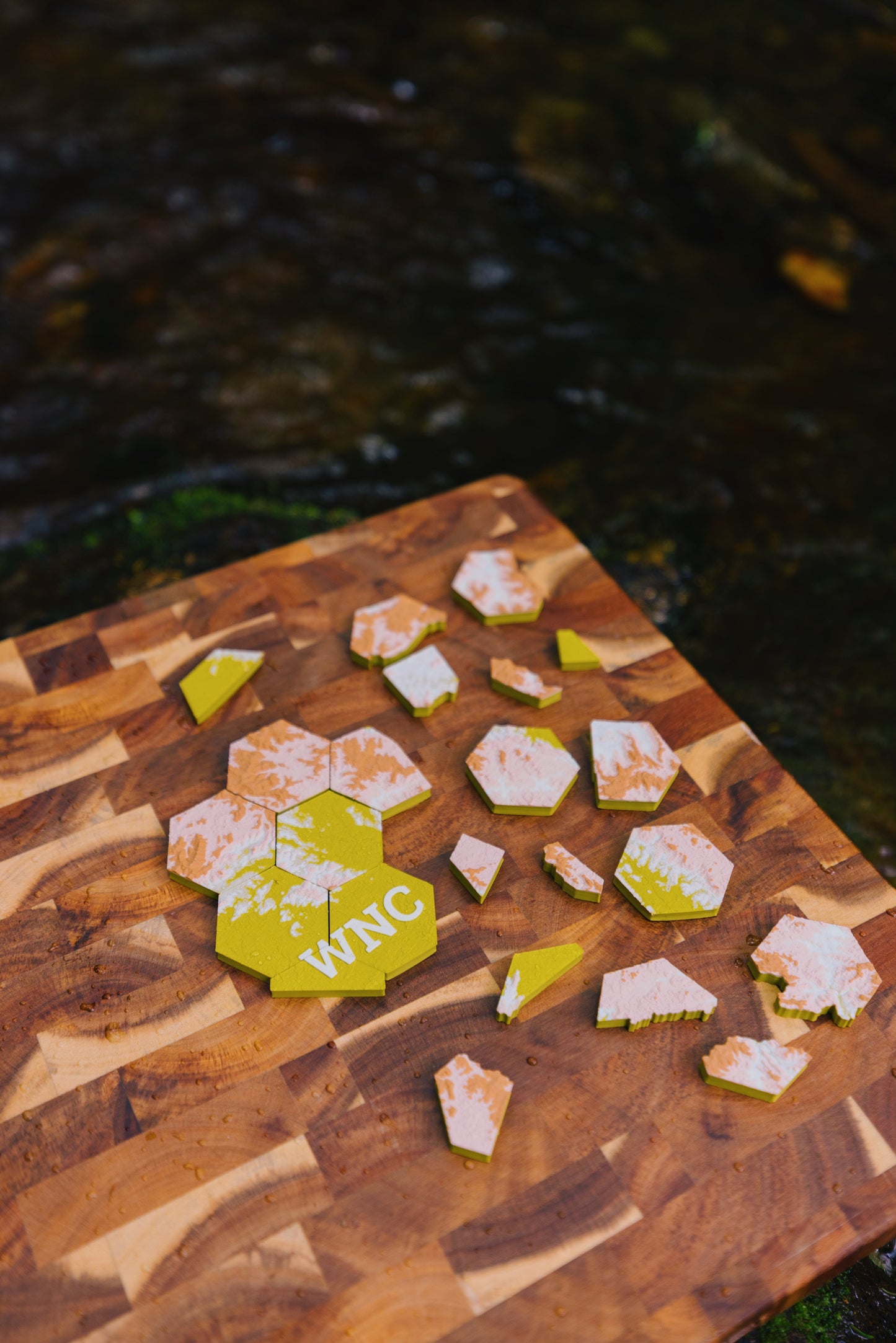 Western North Carolina Magnetic Puzzle Map