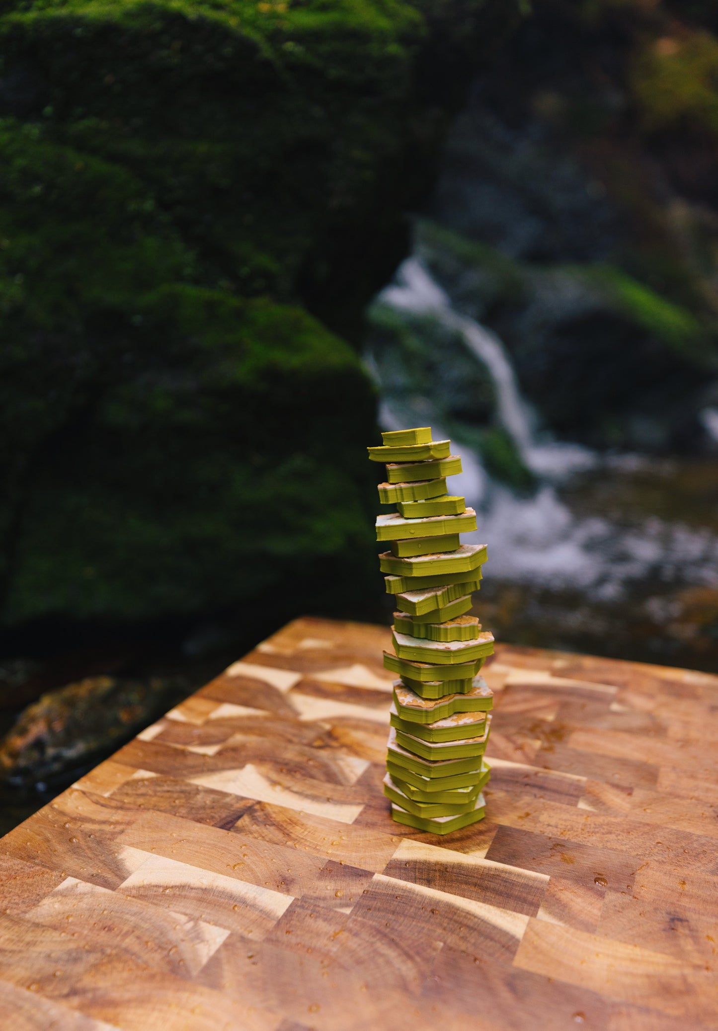 Western North Carolina Magnetic Puzzle Map