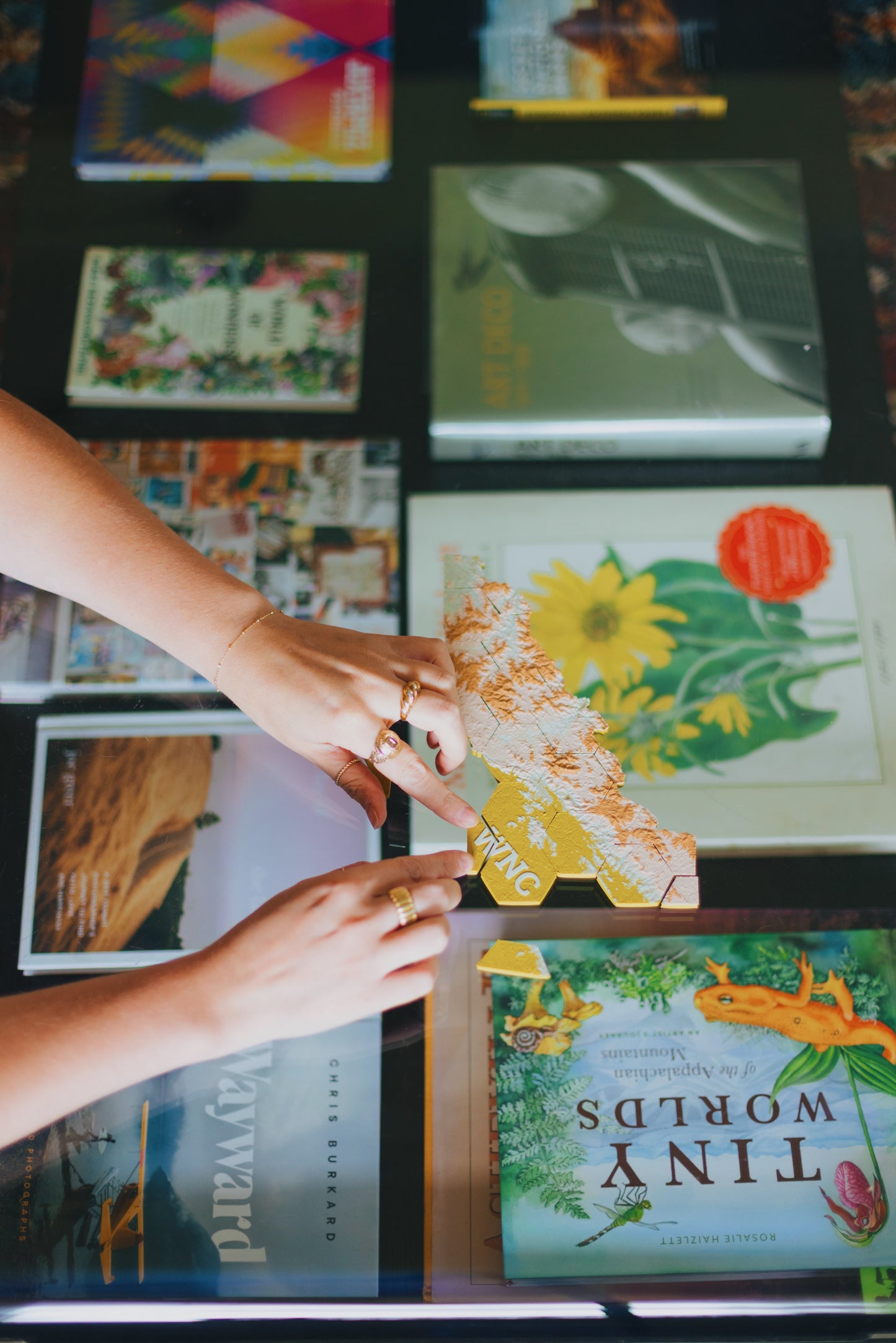 Western North Carolina Magnetic Puzzle Map