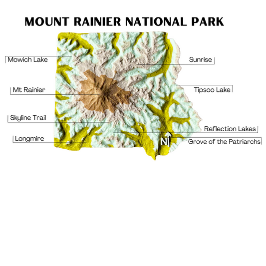 Mount Rainier National Park 3D Topography map souvenir gift magnet