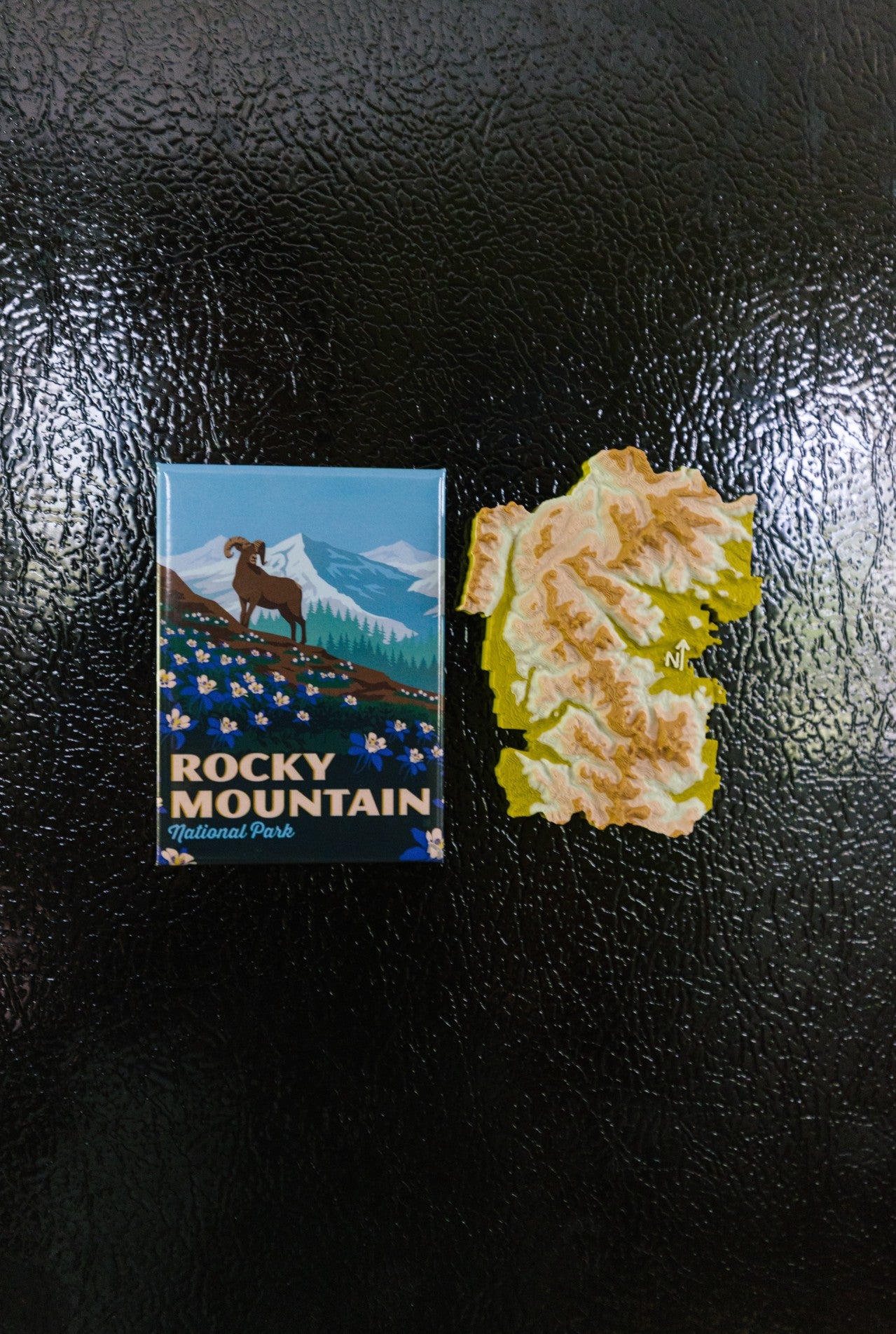 Rocky Mountain National Park 3D Topography Map Magnet