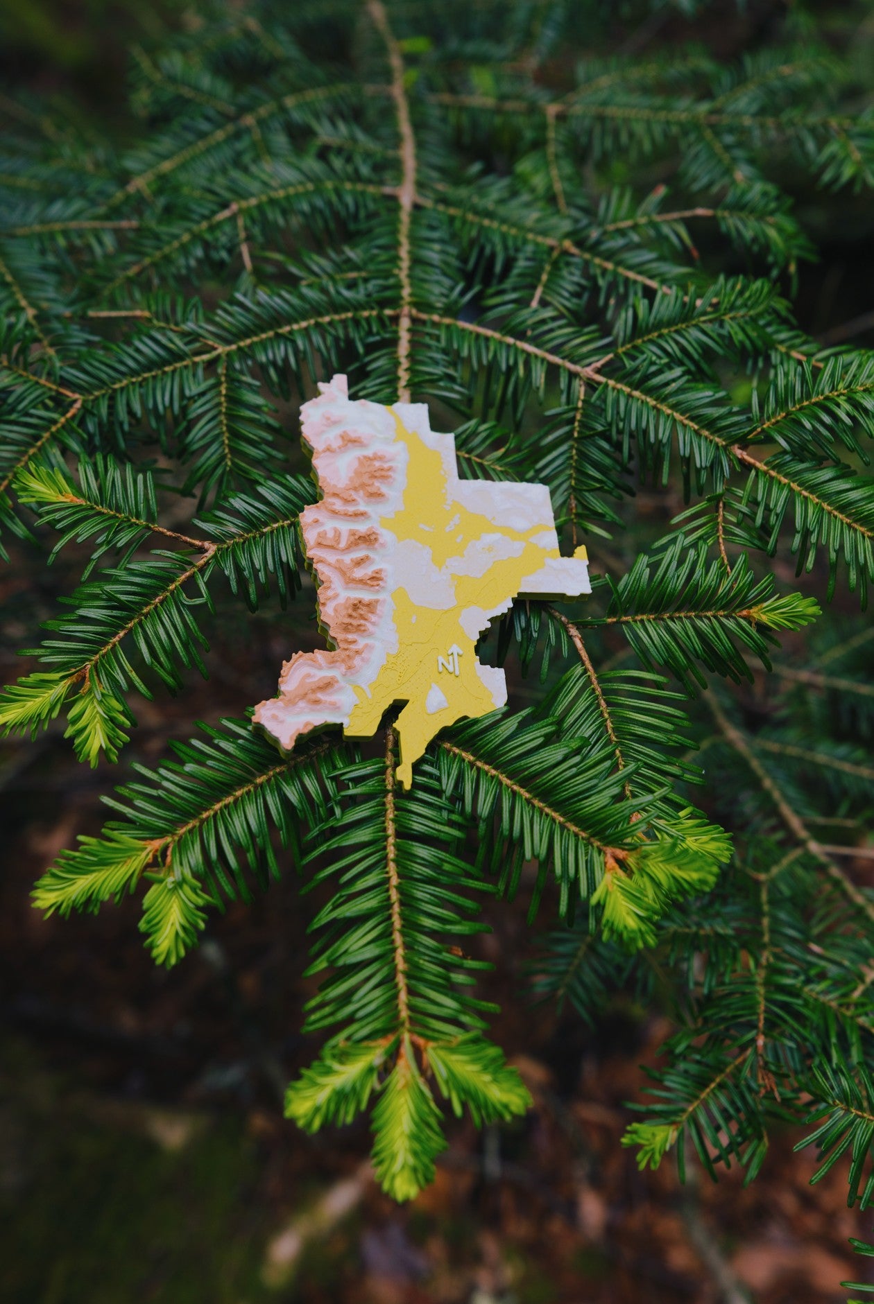 Grand Teton National Park 3D Topography Magnet