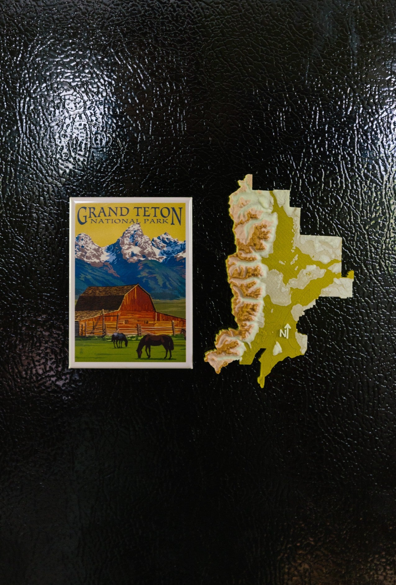 Grand Teton National Park 3D Topography Magnet